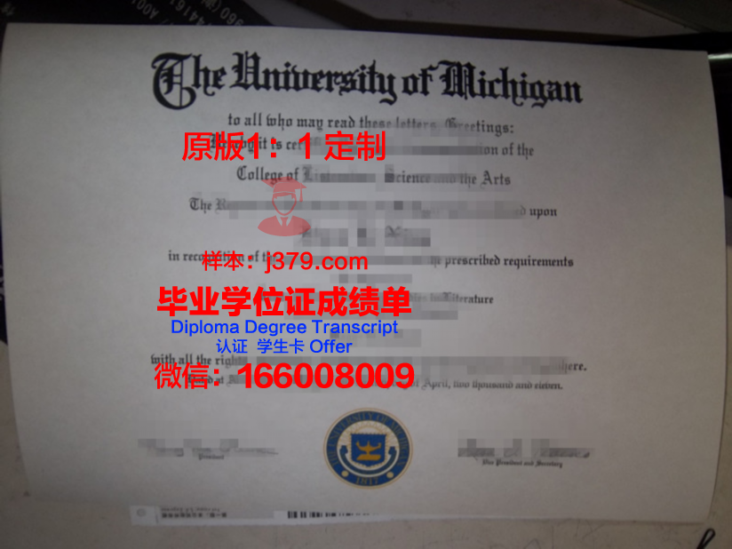 波尔多第一大学毕业证学位文凭学历Diploma