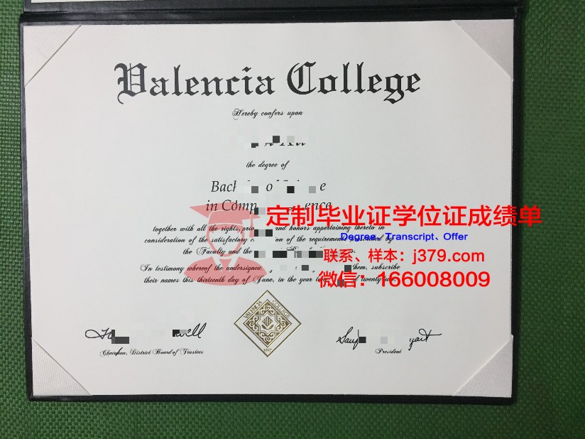 瓦伦西亚欧洲大学毕业证是什么模样(瓦伦西亚的大学)