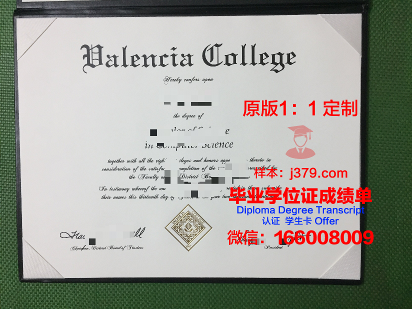 瓦伦西亚欧洲大学毕业证是什么模样(瓦伦西亚的大学)