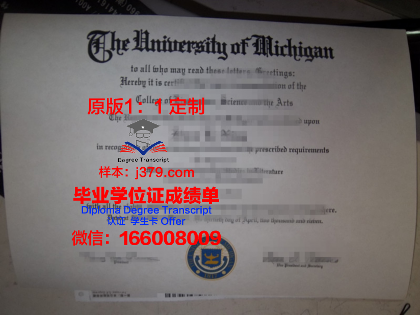 没有大学毕业证在国外(国外毕业没有毕业证)