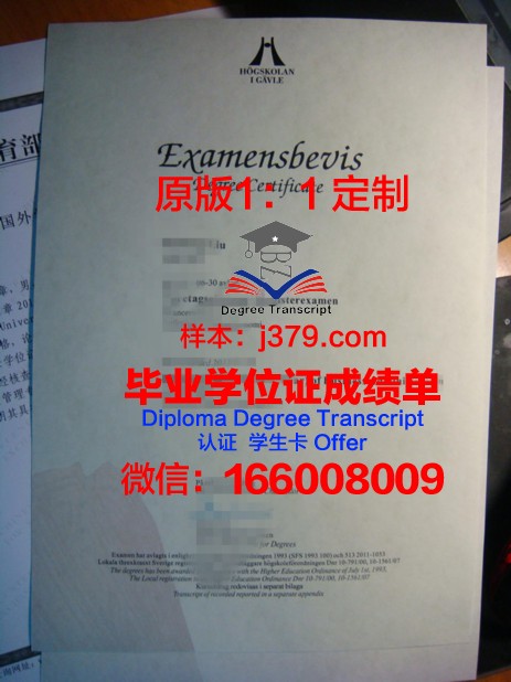 瑞典索德脱恩大学毕业证学位文凭学历Diploma