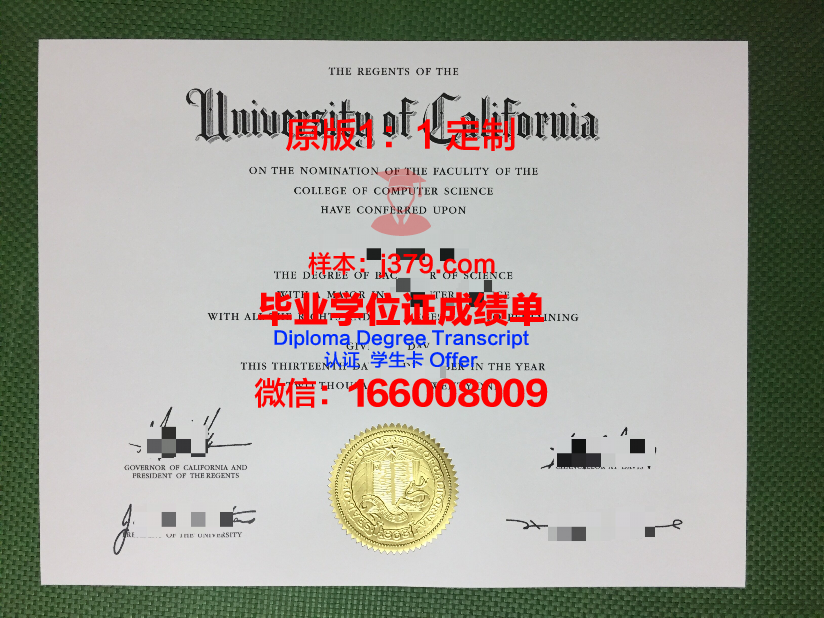 耶拿大学毕业证图片University of Jena Diploma