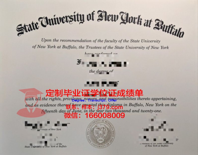纽约州立大学帕切斯分校毕业证案例(纽约州立大学新帕尔茨分校)