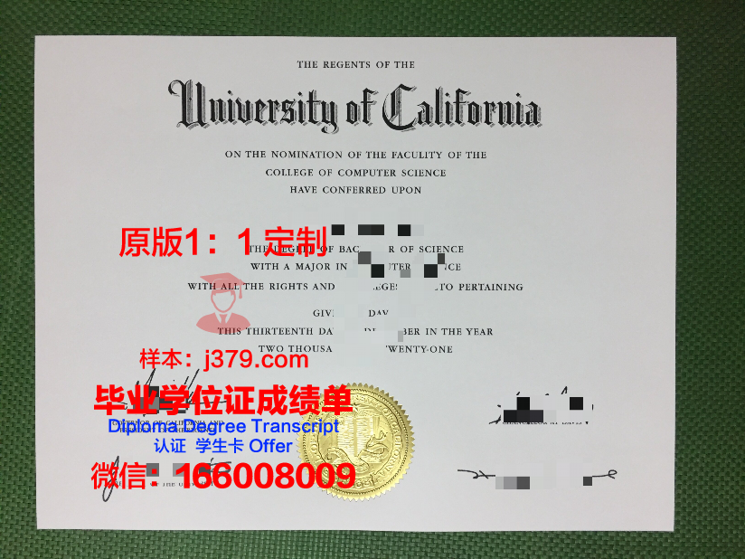 波尔多综合理工学院-波尔多国立高等化学生物与物理学院的毕业证都能做
