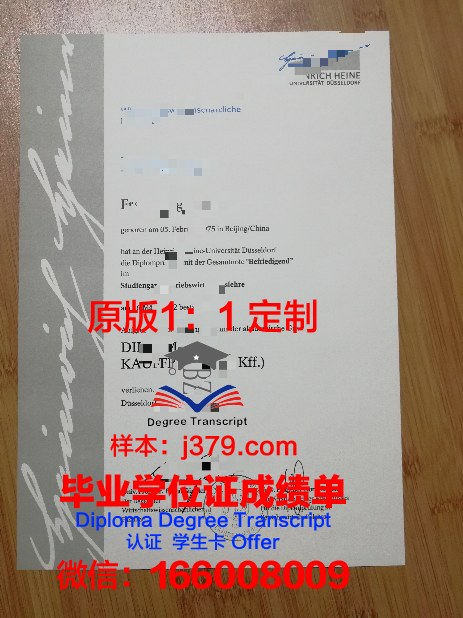 杜塞尔多夫大学毕业文凭