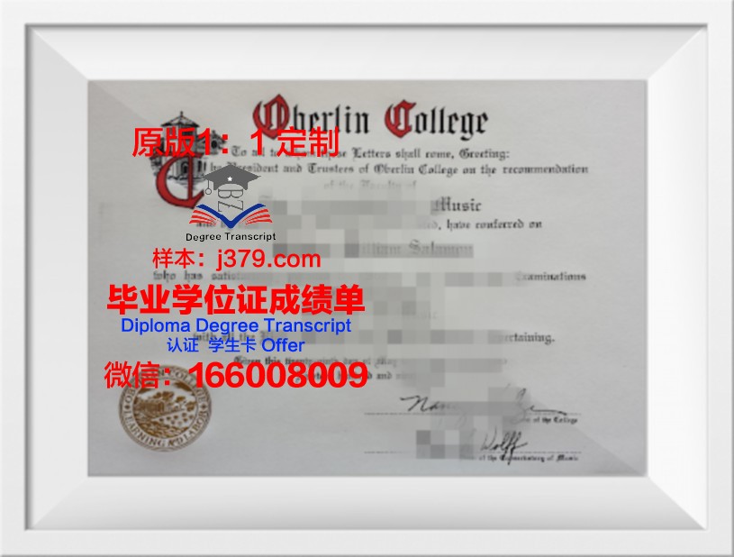 柏林艺术大学毕业证长什么样(柏林艺术大学入学要求)