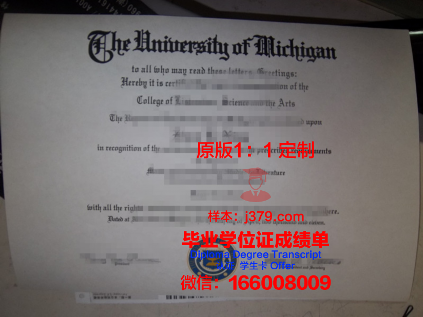 来大毕业证定制:时间与流程全解析