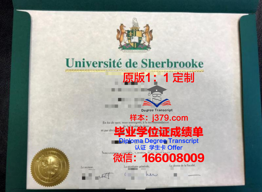 纽约市立大学布鲁克林学院毕业证照片(纽约城市大学布鲁克林学院毕业证)