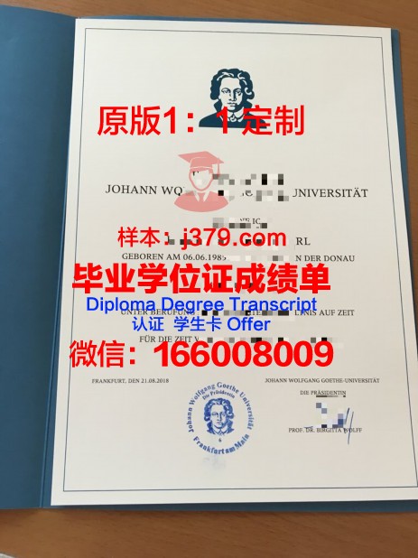 法兰克福造型艺术学院毕业证案例(法兰克福艺术馆)