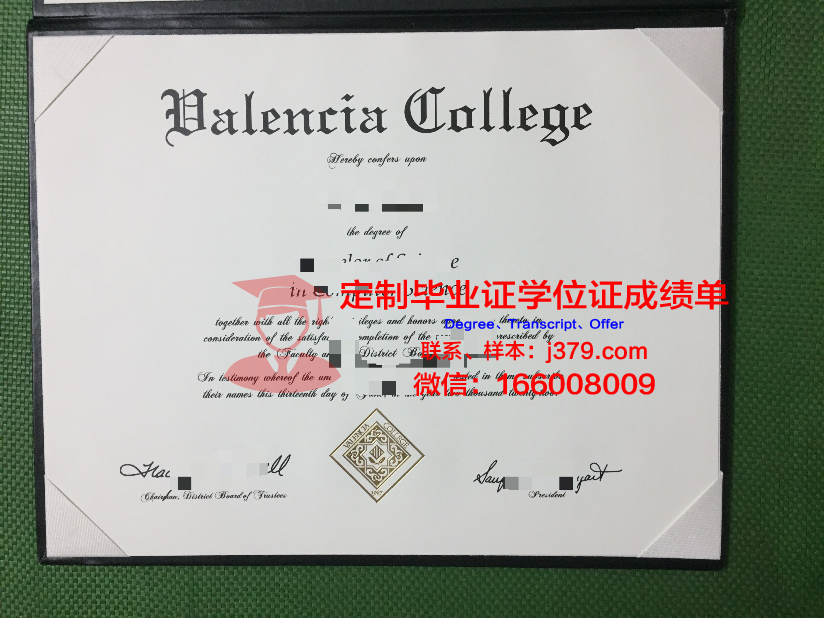 瓦伦西亚大学毕业证书样本(瓦伦西亚大学英语授课)