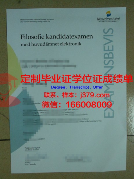 瑞典索德脱恩大学毕业证学位文凭学历Diploma