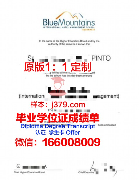 波尔多经济管理学院毕业证书什么颜色(法国波尔多大学经济管理学院)