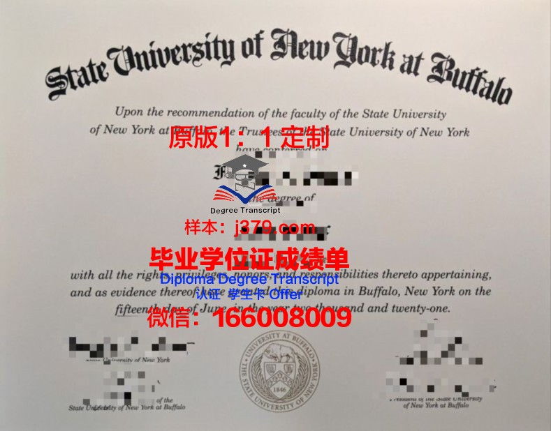 纽约州立大学帕切斯分校毕业证书什么颜色(美国纽约大学毕业证)