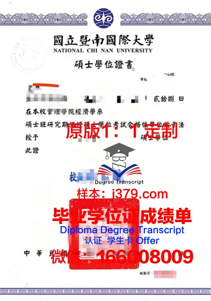沙贝大博士学位证:一张证书背后的故事