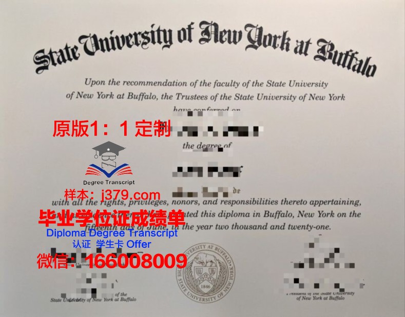 纽约州立大学纽帕兹学院学位证与成绩单:教育质量的见证
