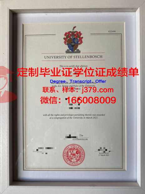 泰伦博斯硕士毕业证:一份承载荣誉与梦想的证书