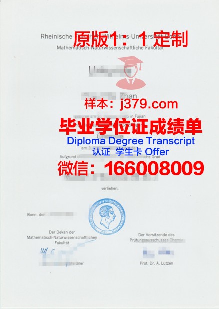 波恩大学毕业证书时间(波恩大学vwl)