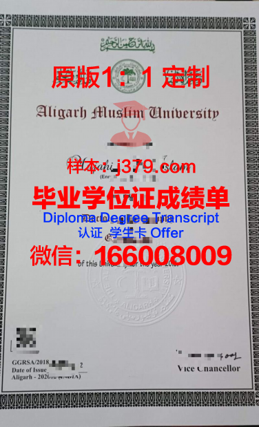 穆罕默德·阿里·金纳大学毕业证书时间