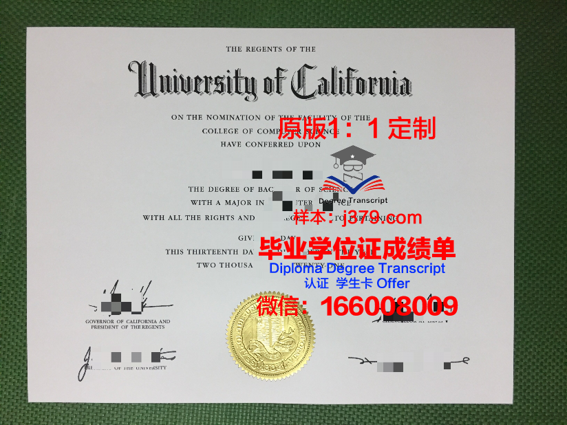 波尔多第二大学硕士毕业证:一张通往未来的通行证