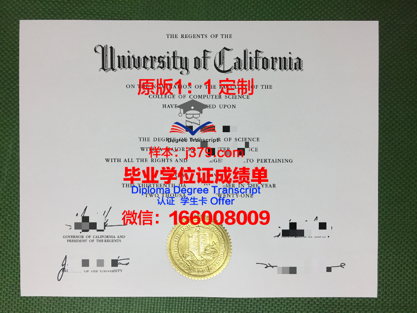 弗鲁米嫩塞联邦大学硕士毕业证
