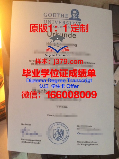 法兰克福应用技术大学毕业证：一张通往未来的通行证