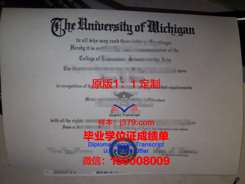 科奇大学毕业证好找工作吗(科奇大学毕业证好找工作吗现在)
