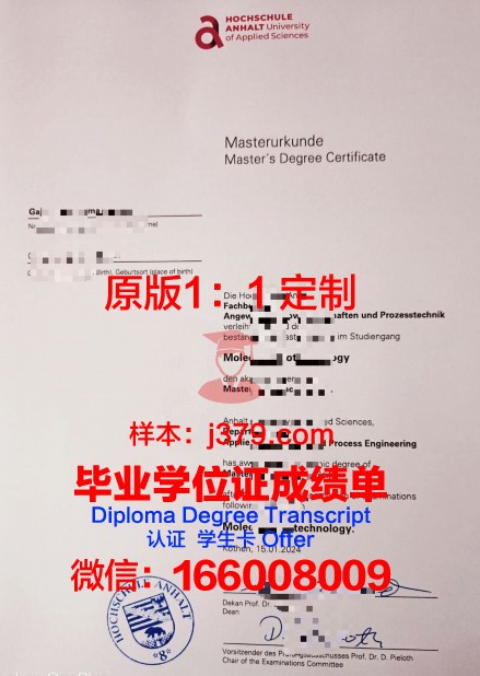 波恩-莱茵-锡格应用技术大学文凭(波恩-莱茵-齐格应用技术大学排名)