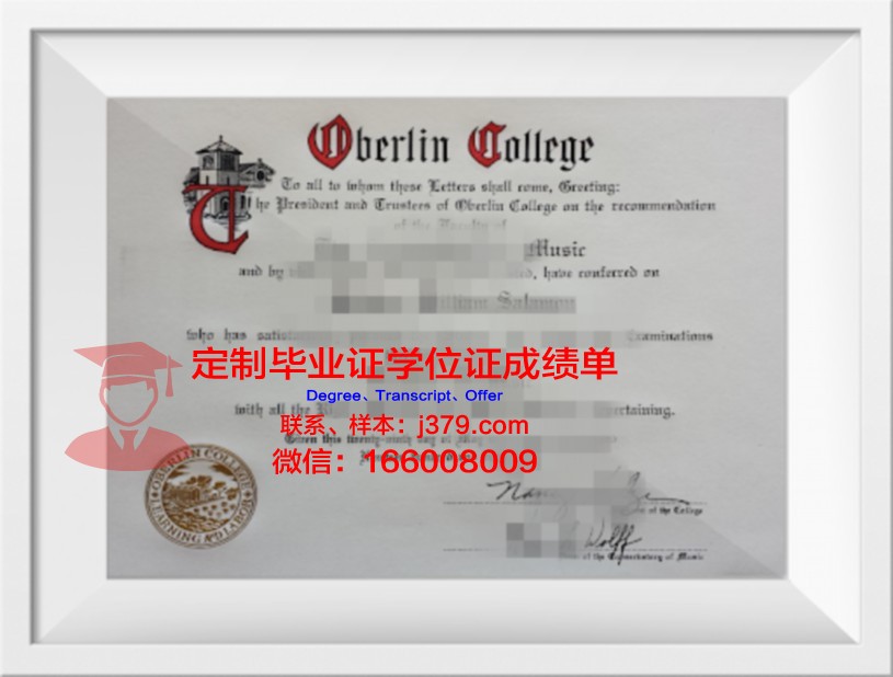柏林工程与经济应用技术大学毕业证样本(柏林工业大学经济工程专业)