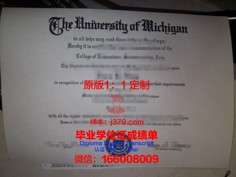 美国美利坚大学毕业证(美国大学的毕业证)