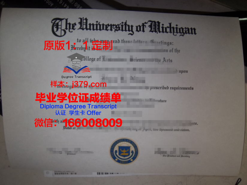 波城大学毕业证原版(筑波大学毕业证)