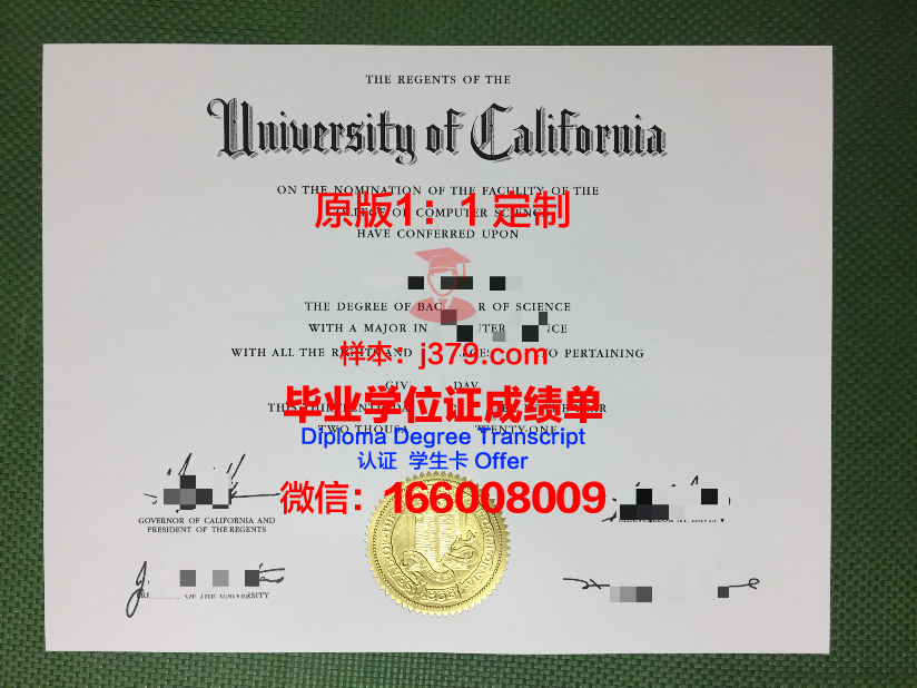 美校 (Mei Xiao)毕业证:一张承载梦想与回忆的纸