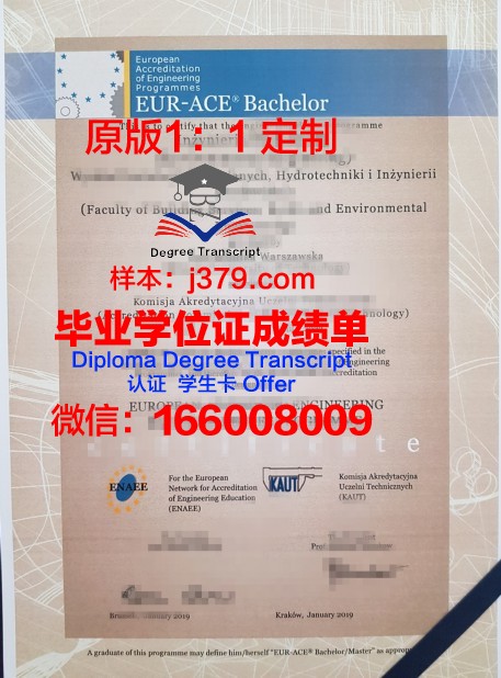 科特布斯勃兰登堡工业大学毕业证书图片高清(科特布斯工业大学怎么样)