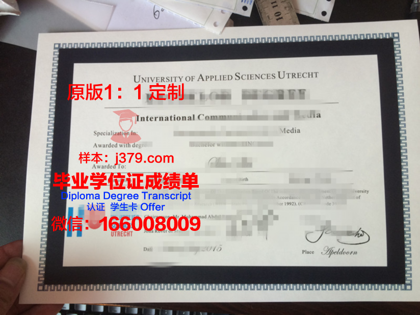 瓦萨应用科学大学博士毕业证:开启国际化职业道路的钥匙