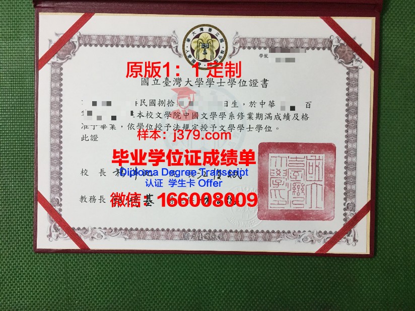 波罗的海国立技术大学毕业证书图片高清(波罗地海国立大学)