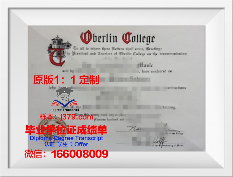 柏林赫尔梯行政学院本科毕业证(柏林大学毕业证)