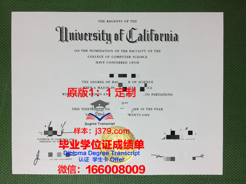波大学毕业证成绩单:一张纸的重量