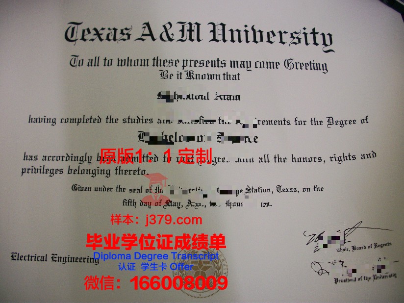 德克萨斯农工国际大学学位证(德克萨斯农工大学官网)