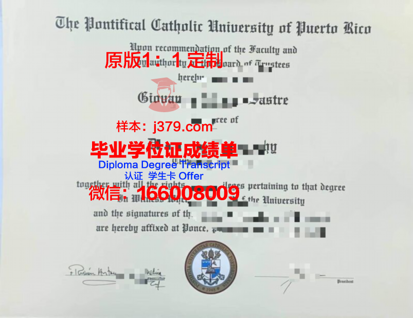 波多黎各大学博士毕业证书(波尔多大学硕士英文授课)