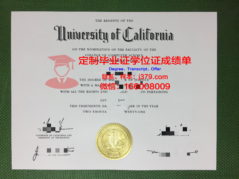 波大学博士毕业证:一张纸背后的故事
