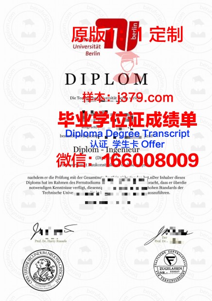 柏林欧洲经济学院毕业证是什么样子(德国柏林经济学院)