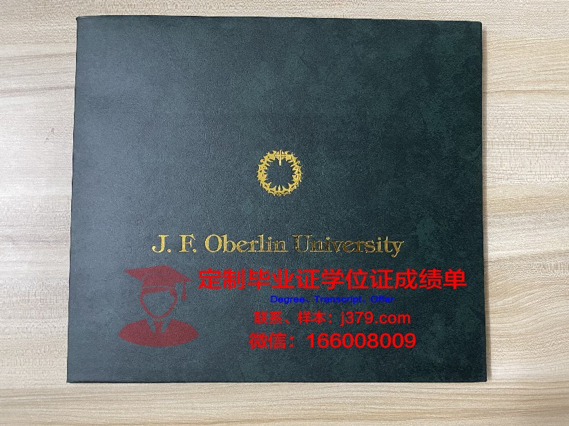 波尔多第二大学毕业证模板(波尔多大学宿舍)