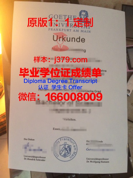 法兰克福造型艺术学院毕业证案例(法兰克福艺术馆)
