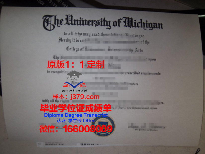 群马大学毕业证原件(求大学毕业证样本)