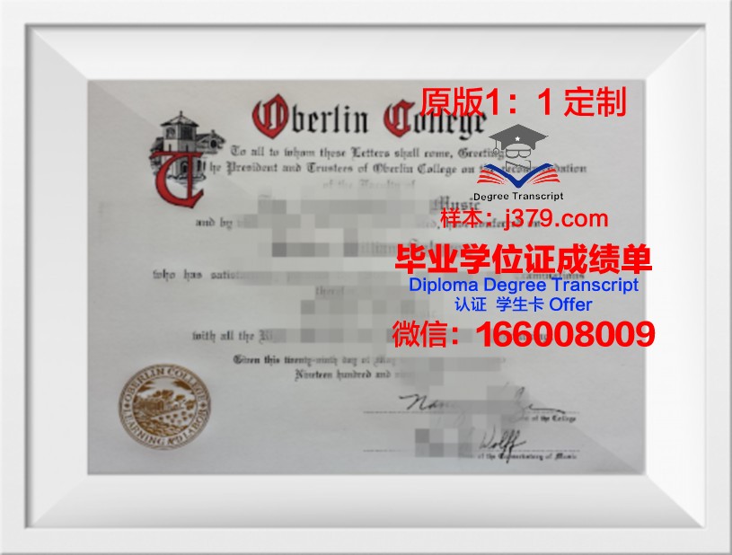 柏林自由大学毕业文凭