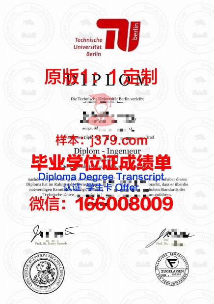 柏林媒体设计学院毕业文凭