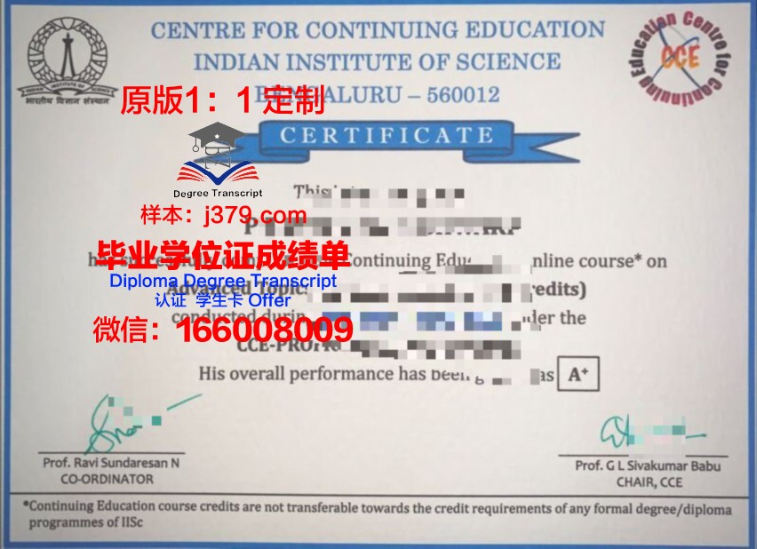 波尔多自然与农业食品科学学院证书成绩单(波尔多大学经济管理学院)