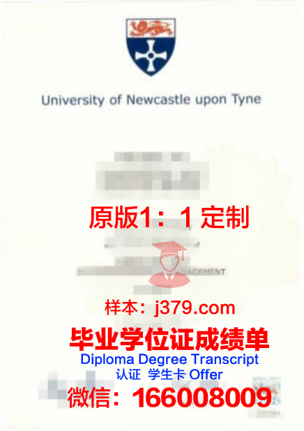 纽卡斯尔大学毕业证尺寸多大(纽卡斯尔大学毕业证尺寸多大啊)