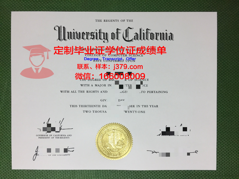 耶拿应用技术大学毕业证学位文凭学历Diploma