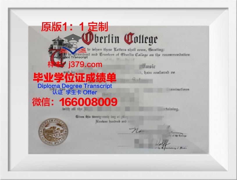 柏林工业大学毕业证补办(柏林工业大学本科申请)