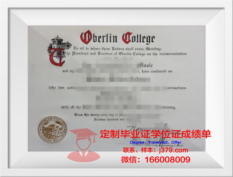 柏林大硕士毕业证:跨越时空的学术荣光